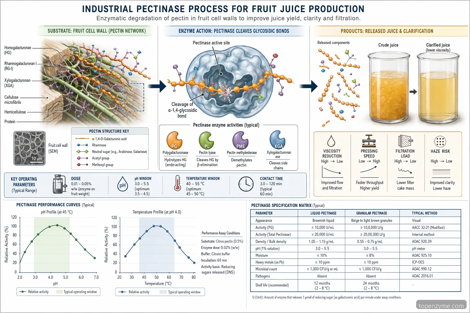enzyme pectinase frugtjuiceproduktion, procesdiagram med pektinnedbrydning ved pH, temperatur og dosis