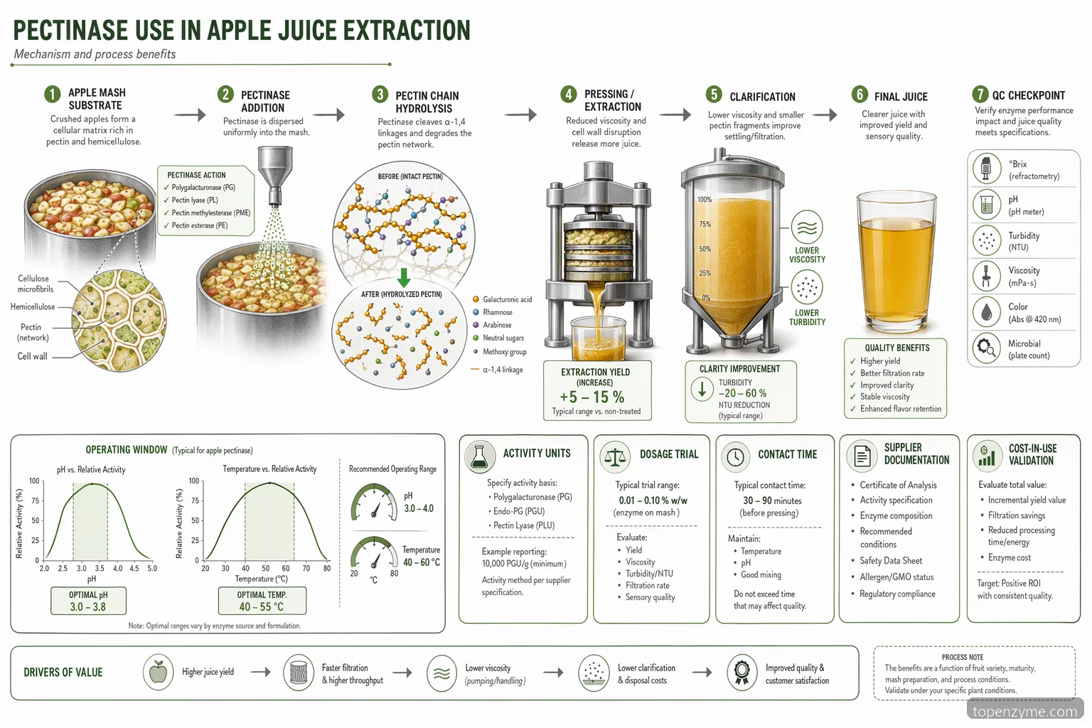 pectinase æblejuice, procesdiagram med æblemos, pektinnedbrydning, klaring og QC-kontrol