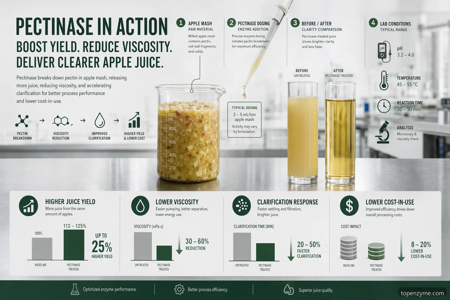 Infografic de experiment cu pectinase în suc de mere, cu randament, vâscozitate, claritate, condiții și scalare