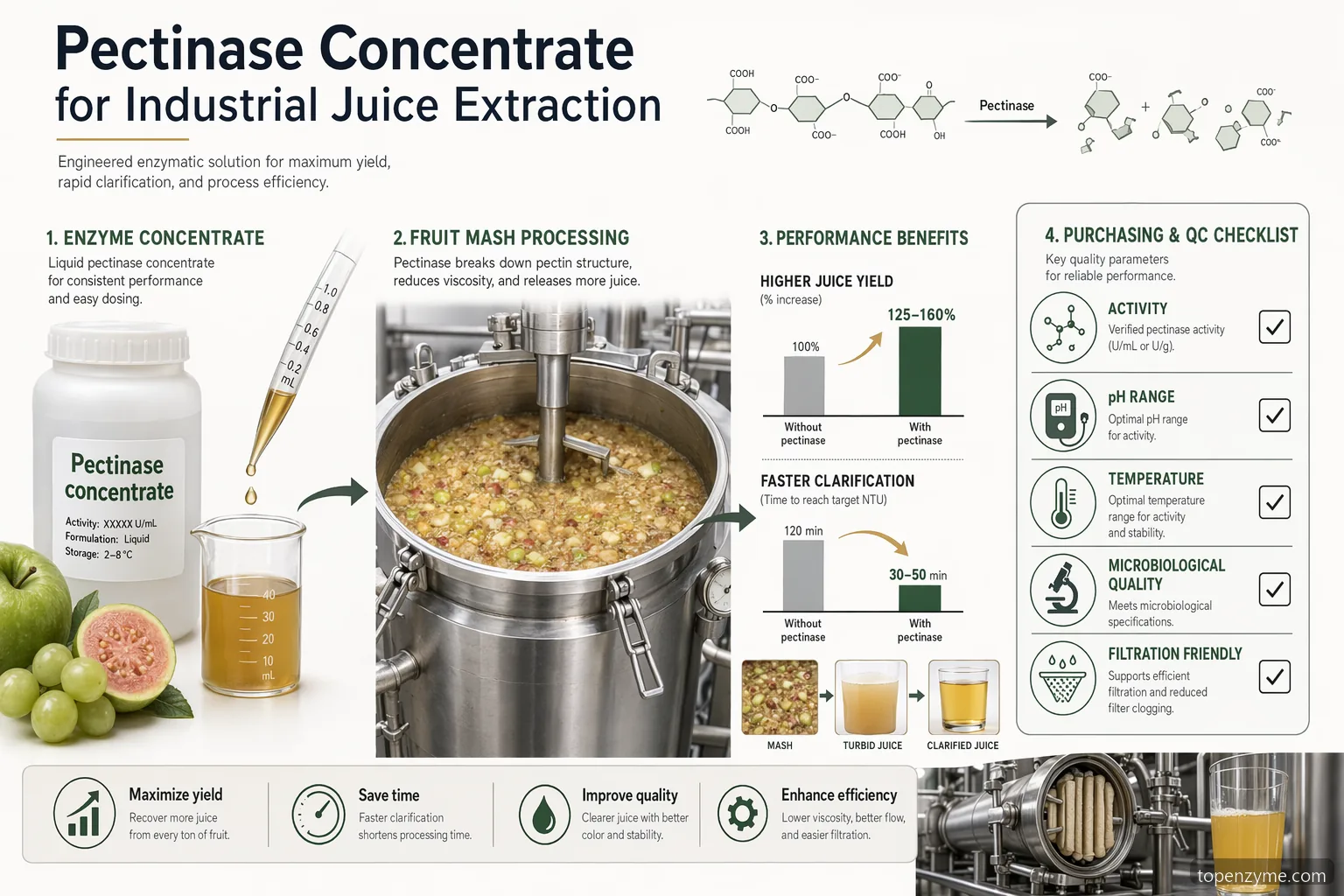 إنفوجرافيك pectinase المركز لاستخلاص العصير الصناعي يوضح الجرعة والمردود والصفاء وفحوصات الجودة